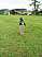 dscn0979.jpg