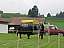 dscn0980.jpg