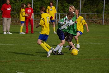 cup-fribourg030